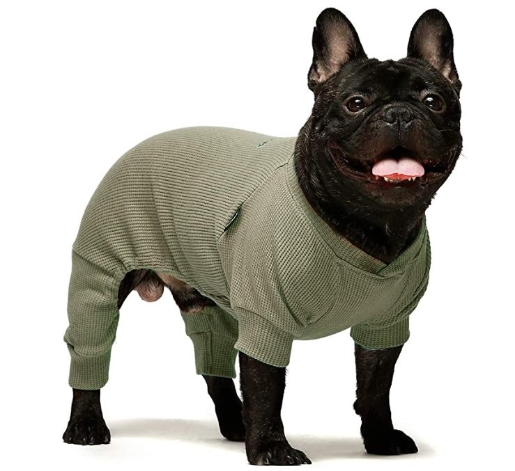 Fitwarm Basics V-neck dog jumpsuit 