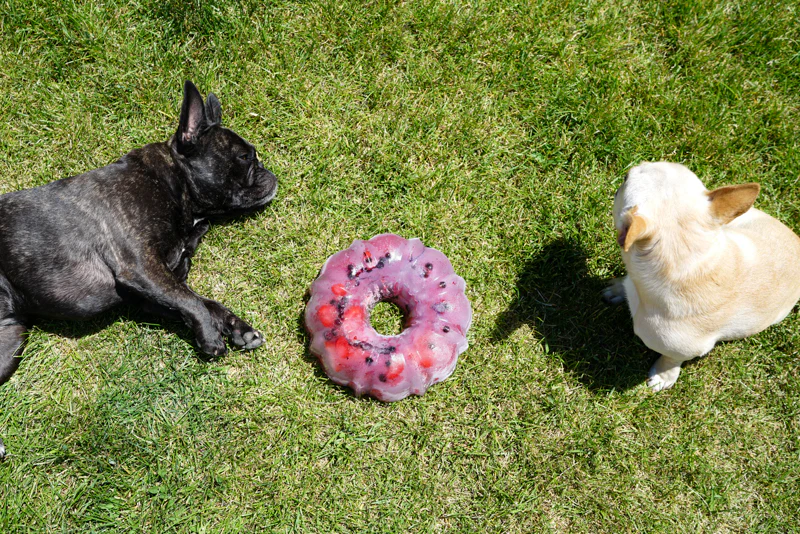 best-treats-for-french-bulldogs