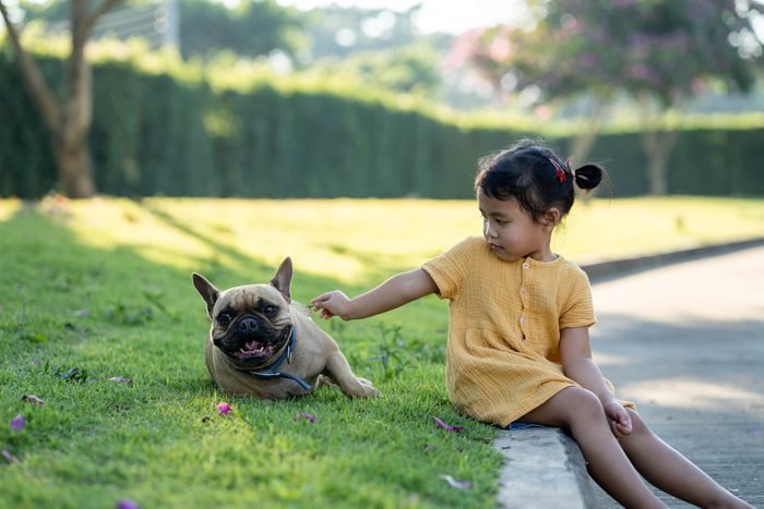 french-bulldogs-and-kids